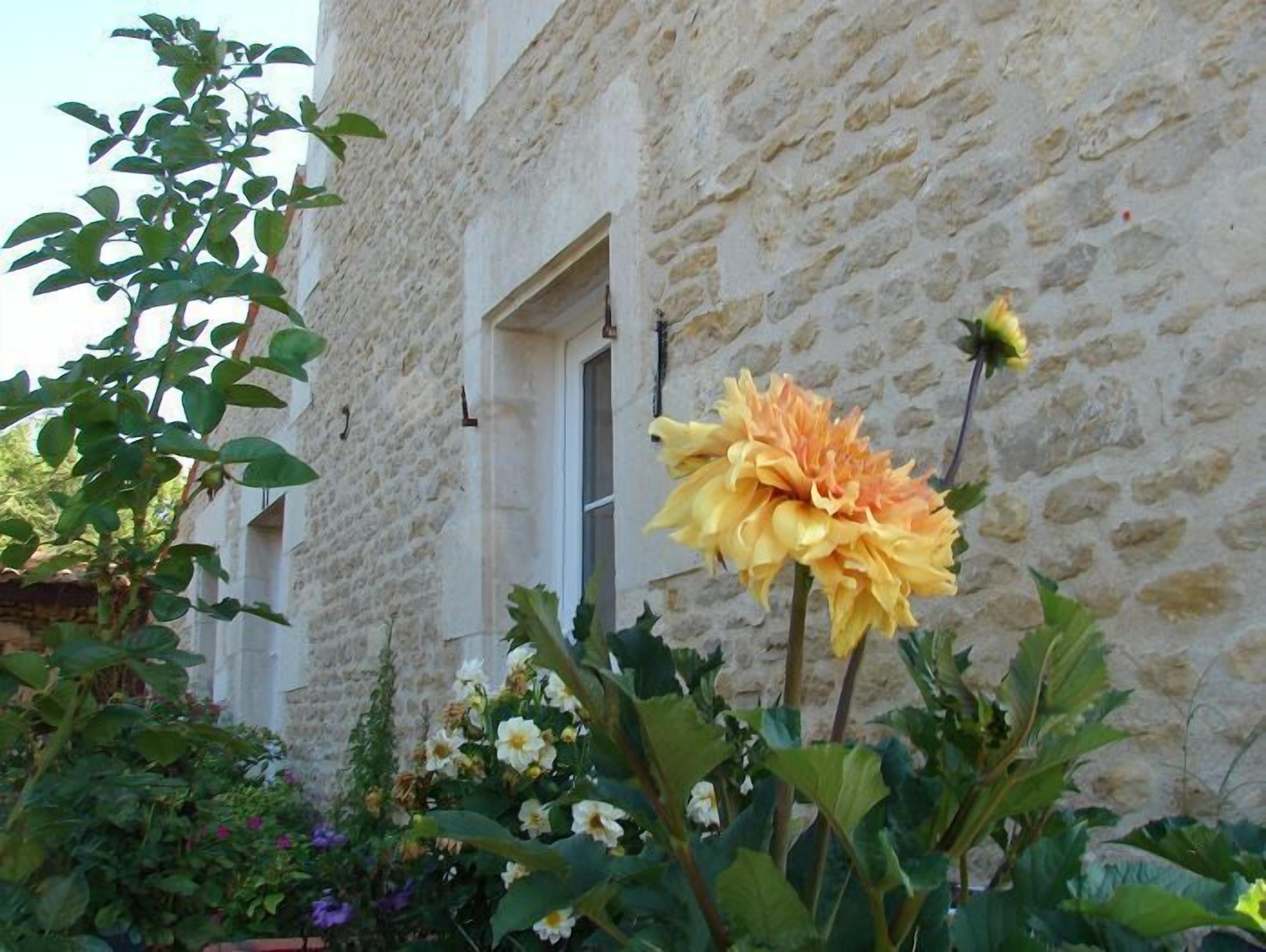 A stone building with a window and a garden with various flowers.