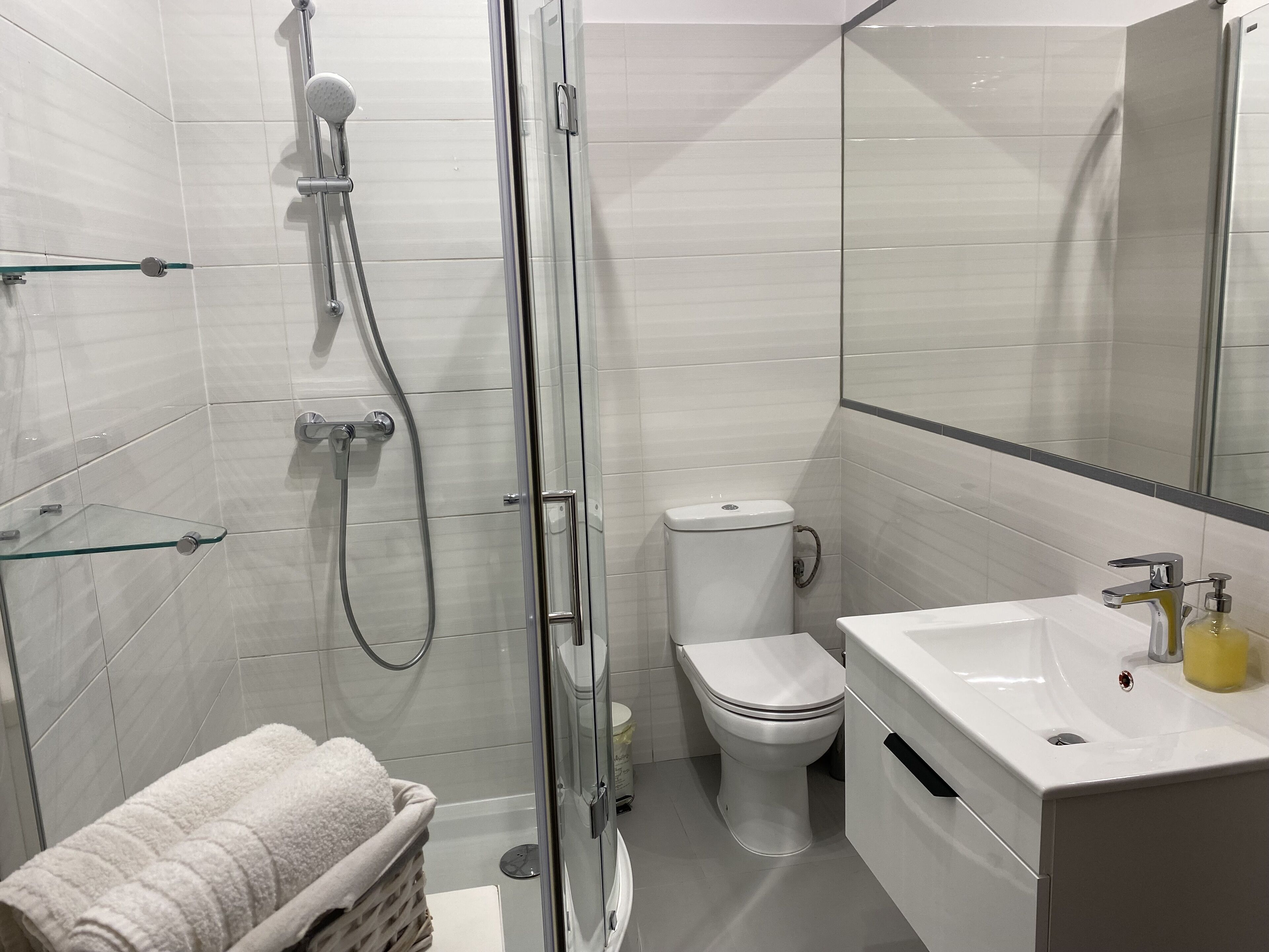 A modern bathroom with a glass shower enclosure, a toilet, and a sink with a mirror above it.