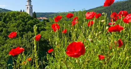 Guesthouse Ošterija
