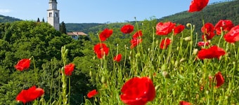 Guesthouse Ošterija