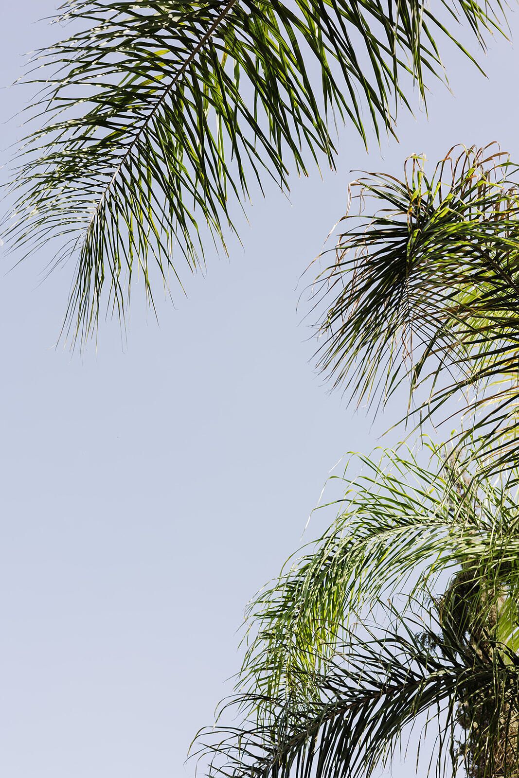 Foto - Villa de Luxe Domaine des Kasbahs