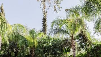 Superior Villa, 3 Bedrooms, Private Pool | Terrace/patio