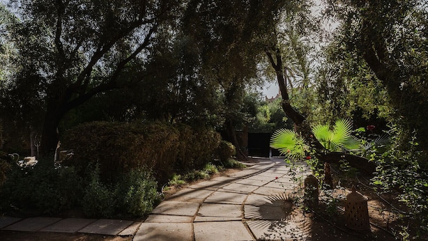 A paved pathway through a garden with dense foliage on both sides. - Villa de Luxe Domaine des Kasbahs C5 (Marrakech)