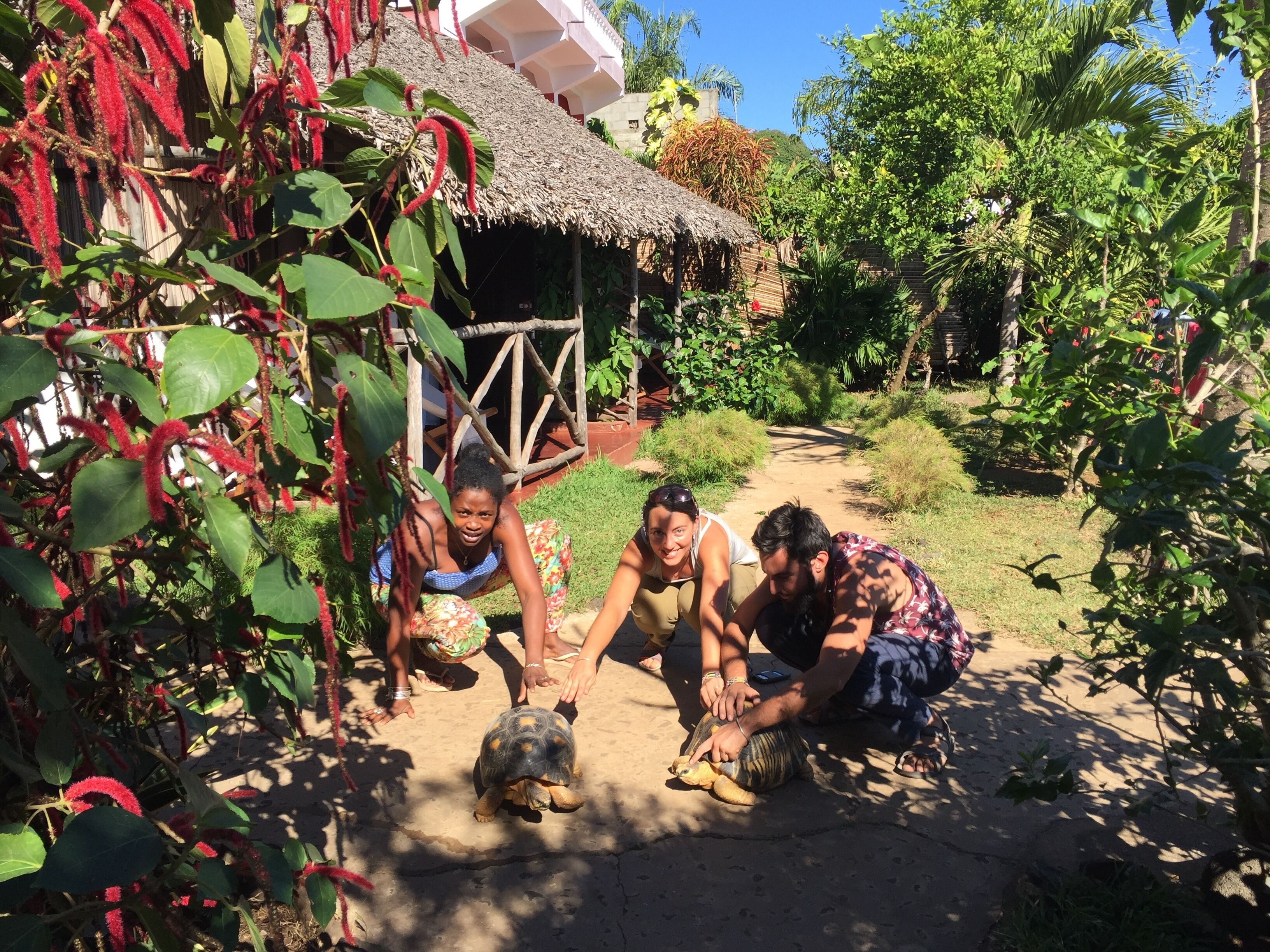 Foto - Coucher de Soleil