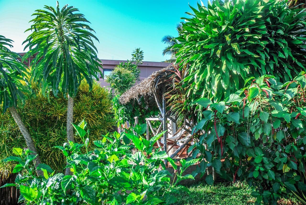 Un exuberante jardín con diversas plantas tropicales y una estructura de madera.