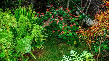 A lush garden with various plants and flowers, including red blooms and green foliage.