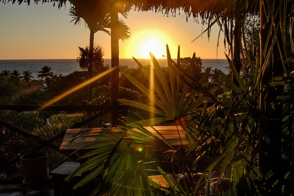 Bar (en el alojamiento)