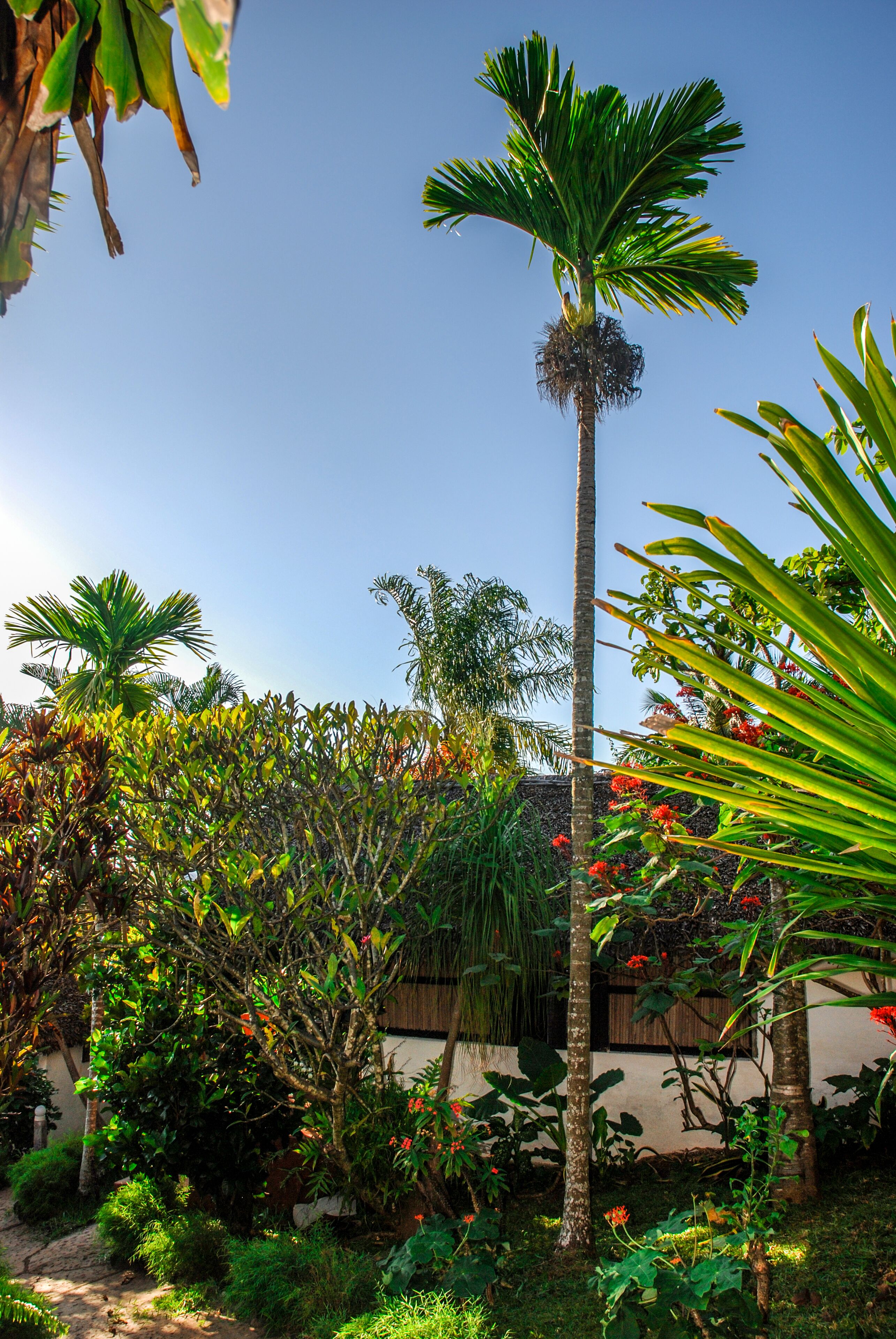 Foto - Coucher de Soleil