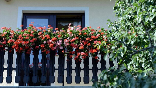 A balcony with a white balustrade and a window with a dark frame. - Guest House Koprivnik (Zrece)