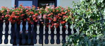 Guest House Koprivnik