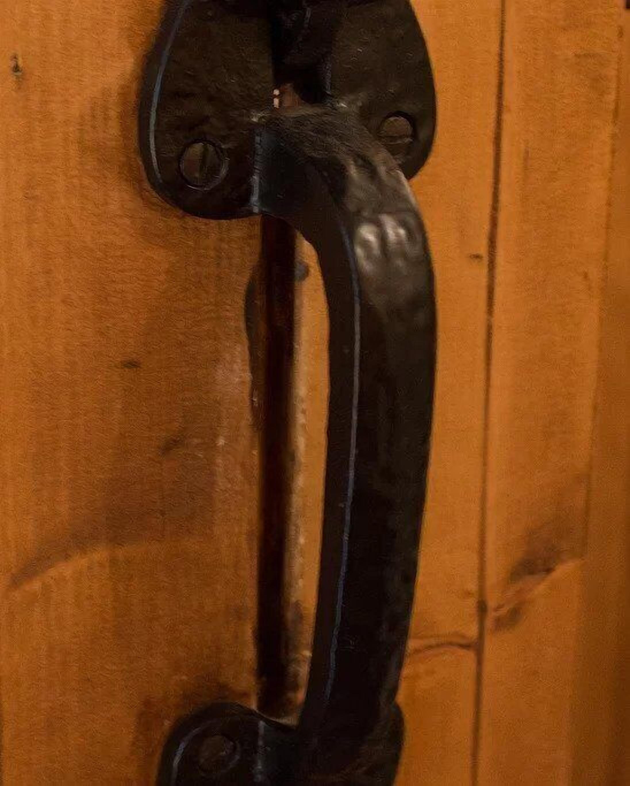 A close-up of a black metal door handle on a wooden door.