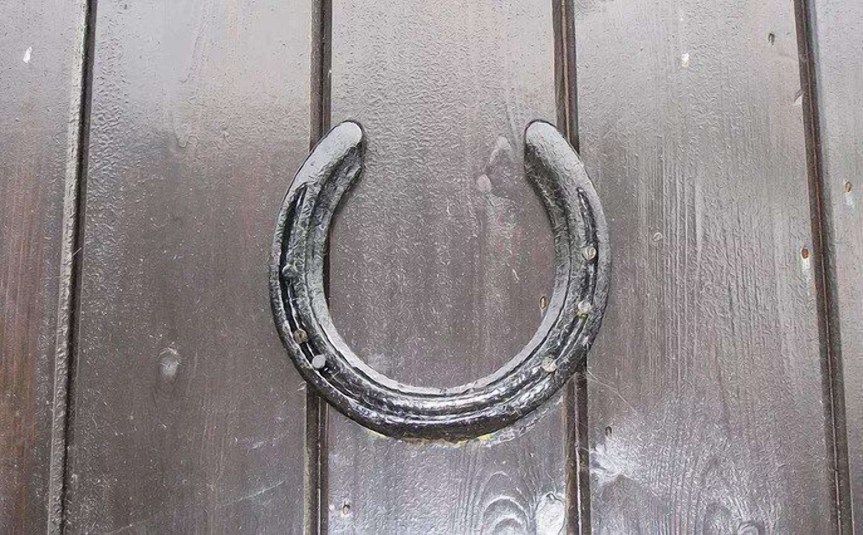 Un objeto metálico en forma de herradura sobre una superficie de madera.