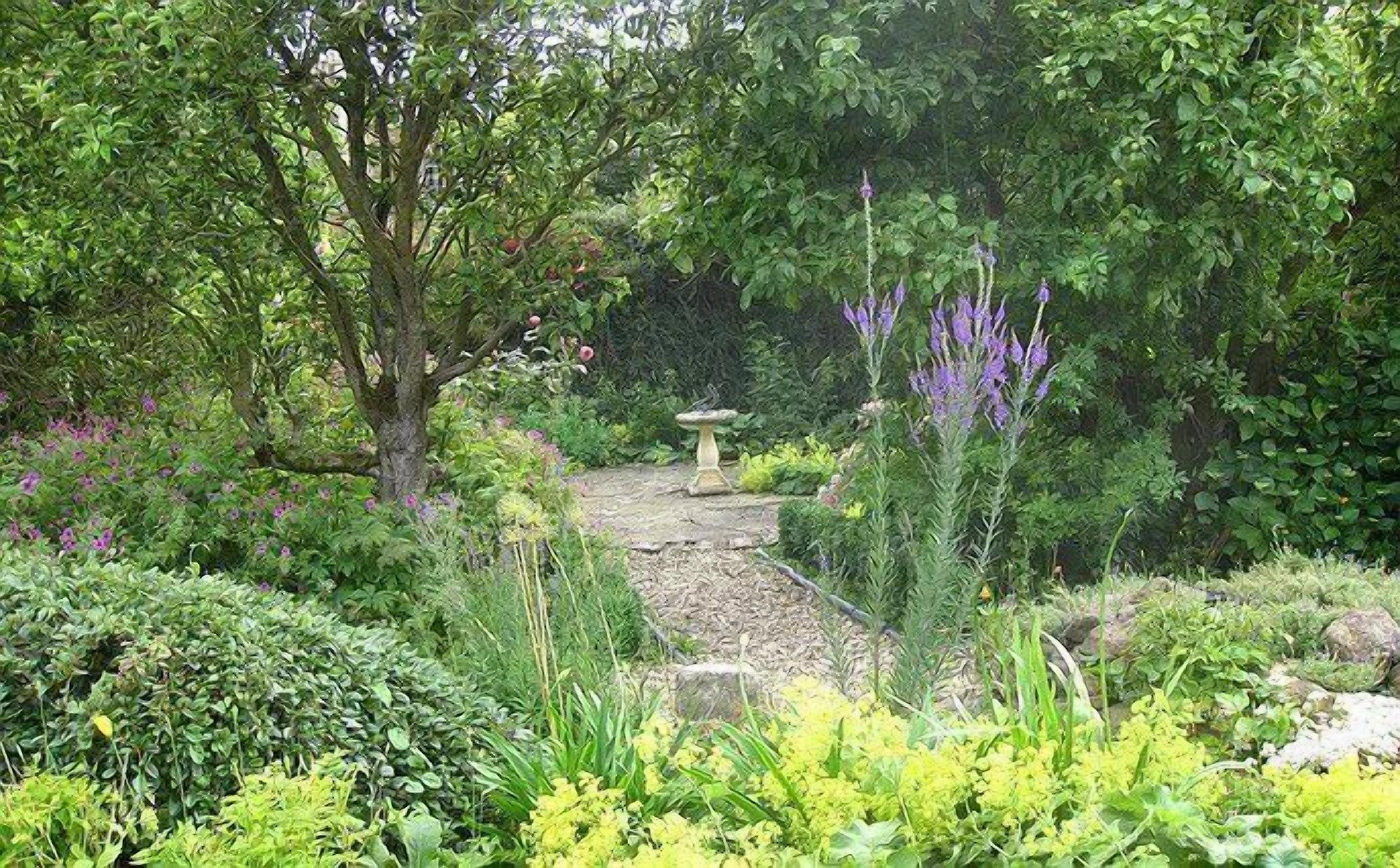 Un jardín con un sendero de piedra, diversas plantas y una fuente para pájaros.
