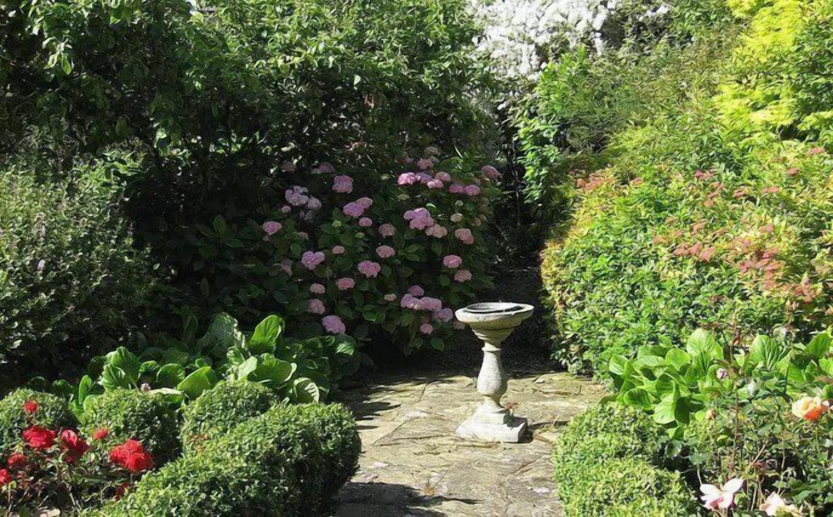 A garden with a stone pathway, a birdbath, and various flowering plants.