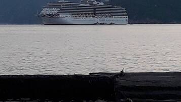 A large cruise ship docked at a pier with calm water and hills in the background.
