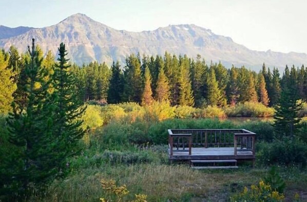 Outdoor wedding area
