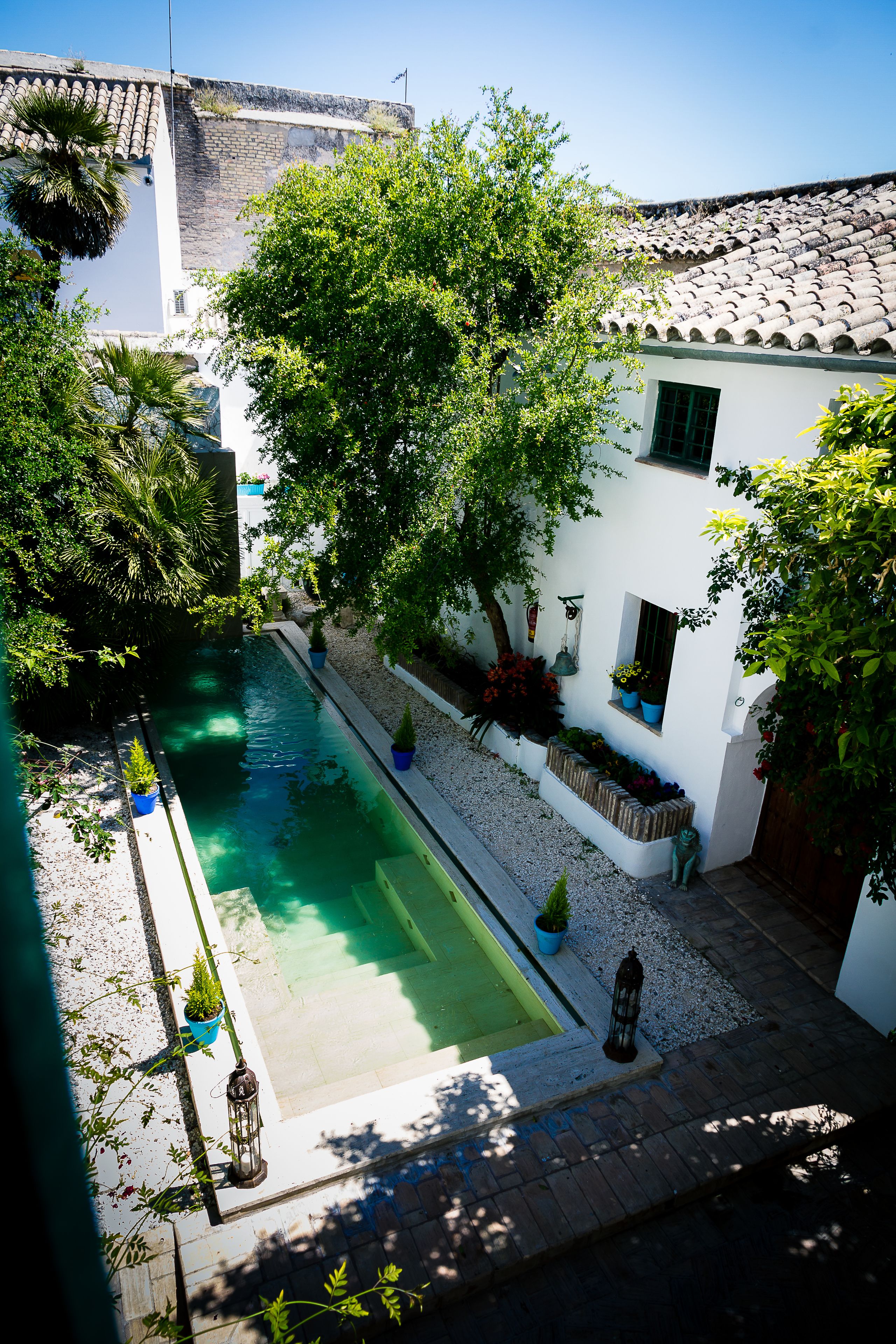 Seasonal outdoor pool, sun loungers