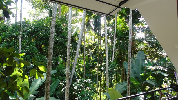 View from room - Eco Villa - Sinharaja (Deniyaya)