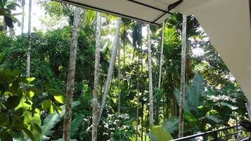 Pemandangan dari kamar