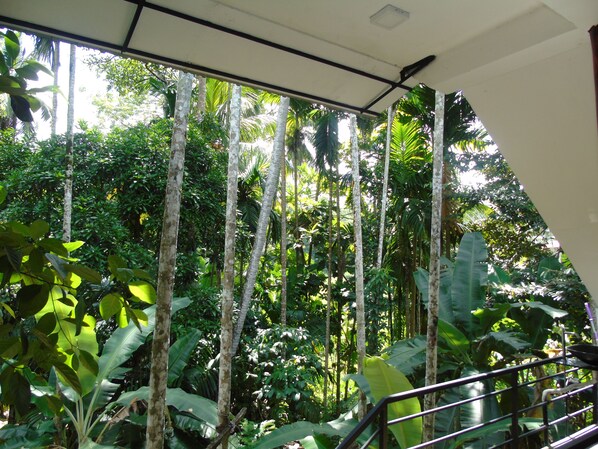 Pemandangan dari kamar
