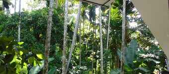 Eco Villa - Sinharaja
