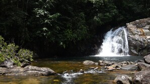 Safari - Eco Villa - Sinharaja (Deniyaya)