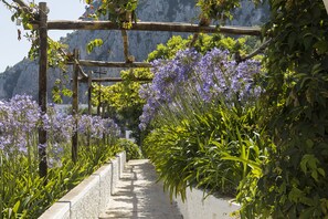 Garden - Suite Garden (Capri)