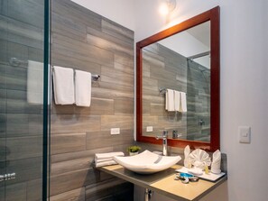 Shower, free toiletries, hair dryer, towels