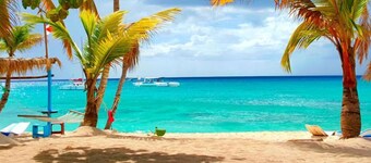 Palm Green Vacations Whitesands