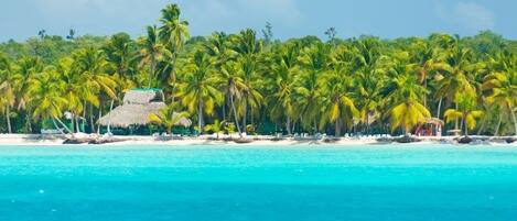On the beach, free beach shuttle
