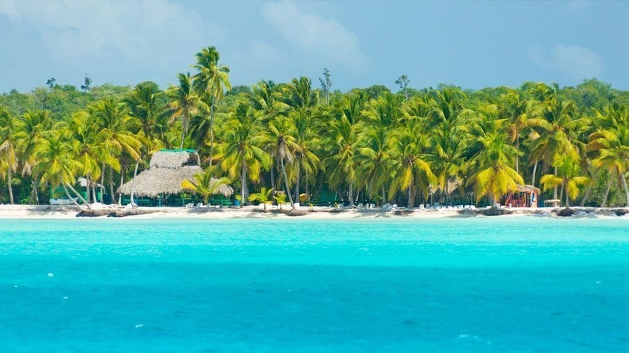 Palm Green Vacations Whitesands