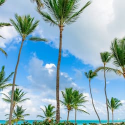 On the beach, free beach shuttle