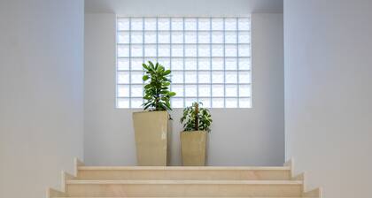 Sagres Sun Stay - Surf Camp & Hostel