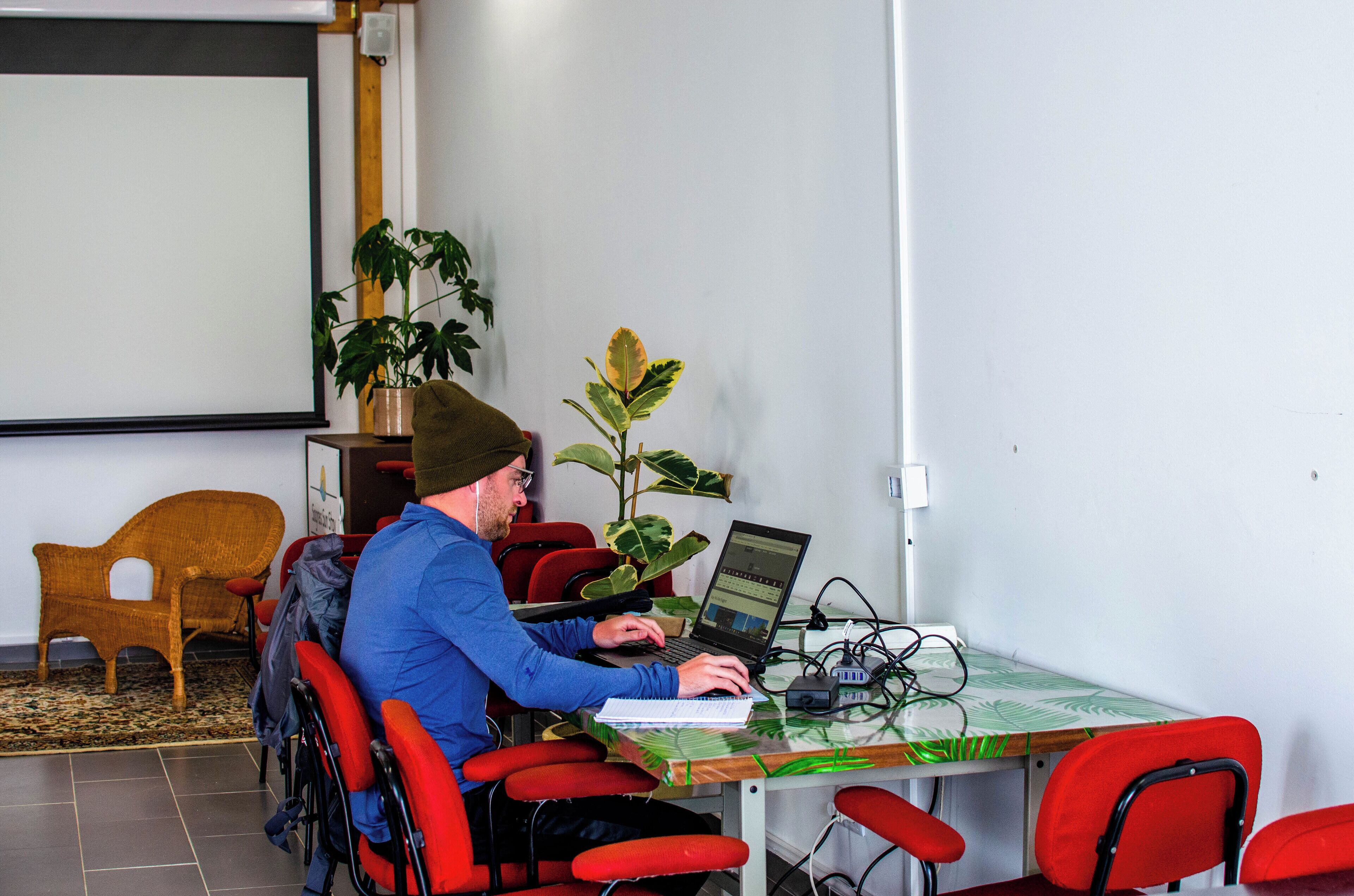 A person using a laptop at a table with a plant, in a room with a projector screen and red chairs.