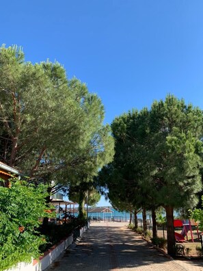 Garden - Hotel Fiesta Beach Didim (Didim)