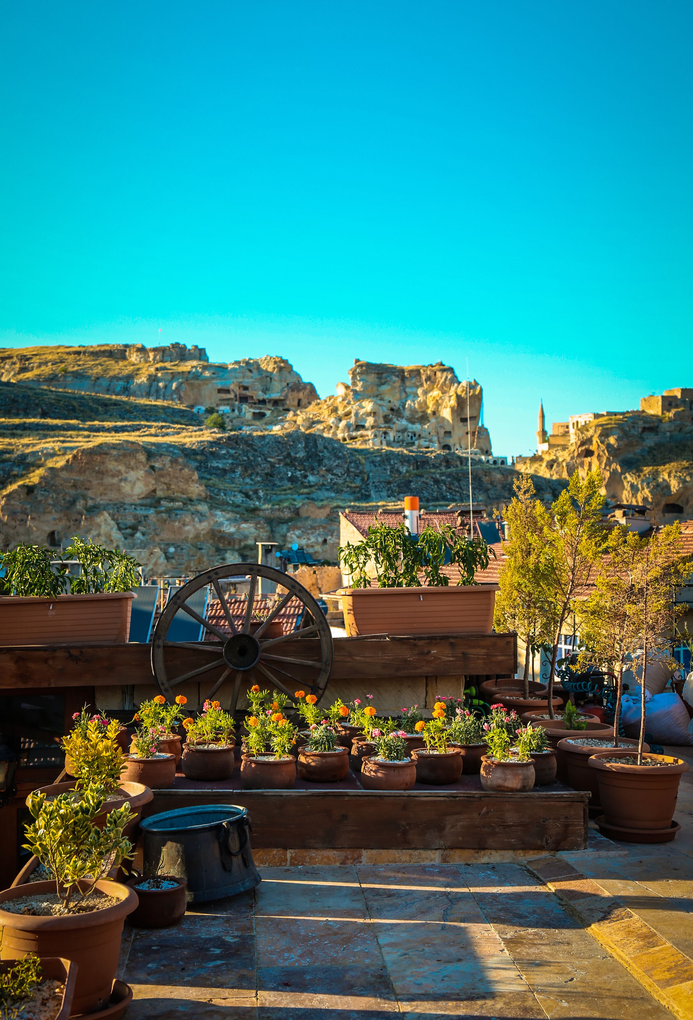 A rooftop garden with potted plants and a large wooden wheel.