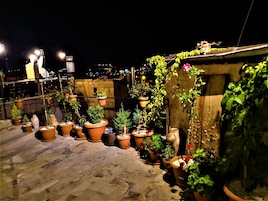 Un jardín en la azotea con plantas en macetas y una pequeña construcción.