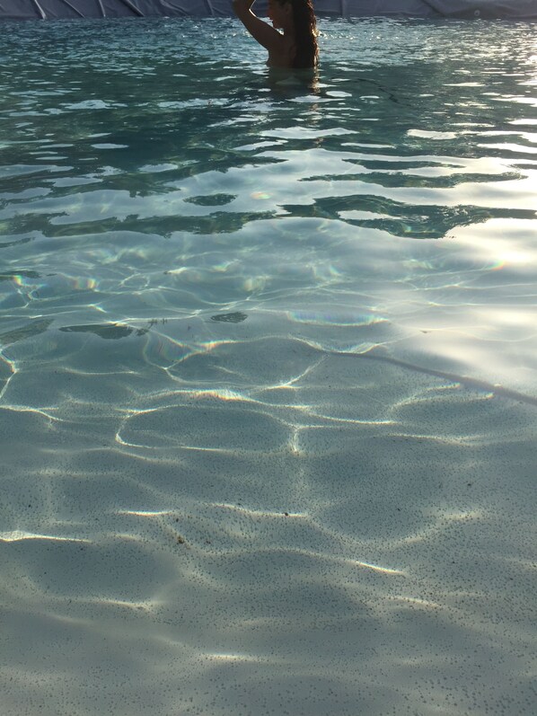 Outdoor pool, open 10:30 AM to 7:00 PM, pool loungers - Ecolodge Mombret Haut (Montcabrier)