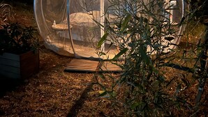 Eine transparente Kuppelstruktur mit einem Bett im Inneren, umgeben von Pflanzen und einer Holzterrasse.