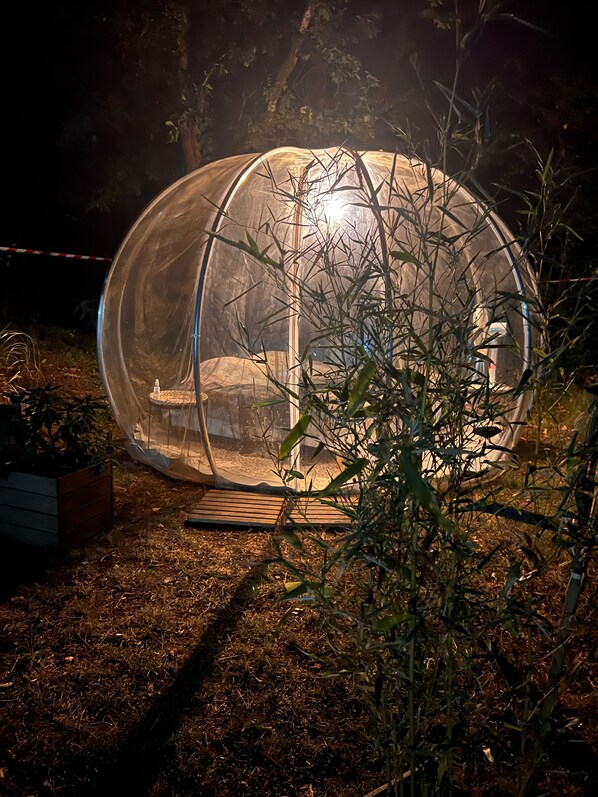 Deluxe Tent (Peter O TOOL)