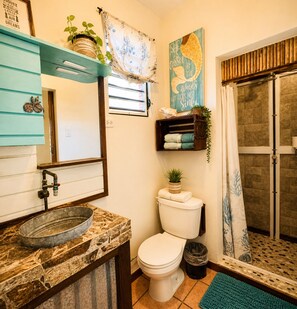 Shower, hair dryer, towels, soap