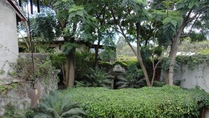 A lush garden with a pathway leading to a small structure.