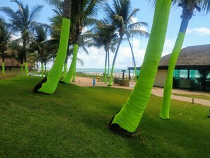 Área da propriedade