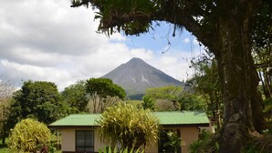 Jardín