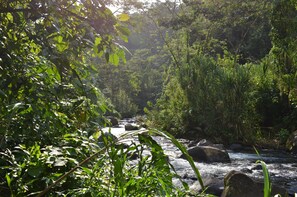 Ulkopuoli