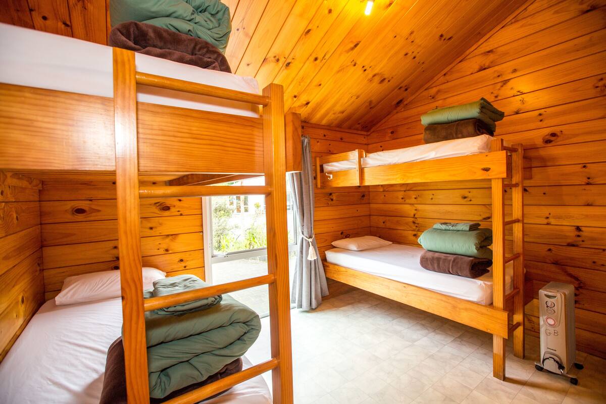 Una cabaña con literas, paredes de madera y una ventana con cortinas.