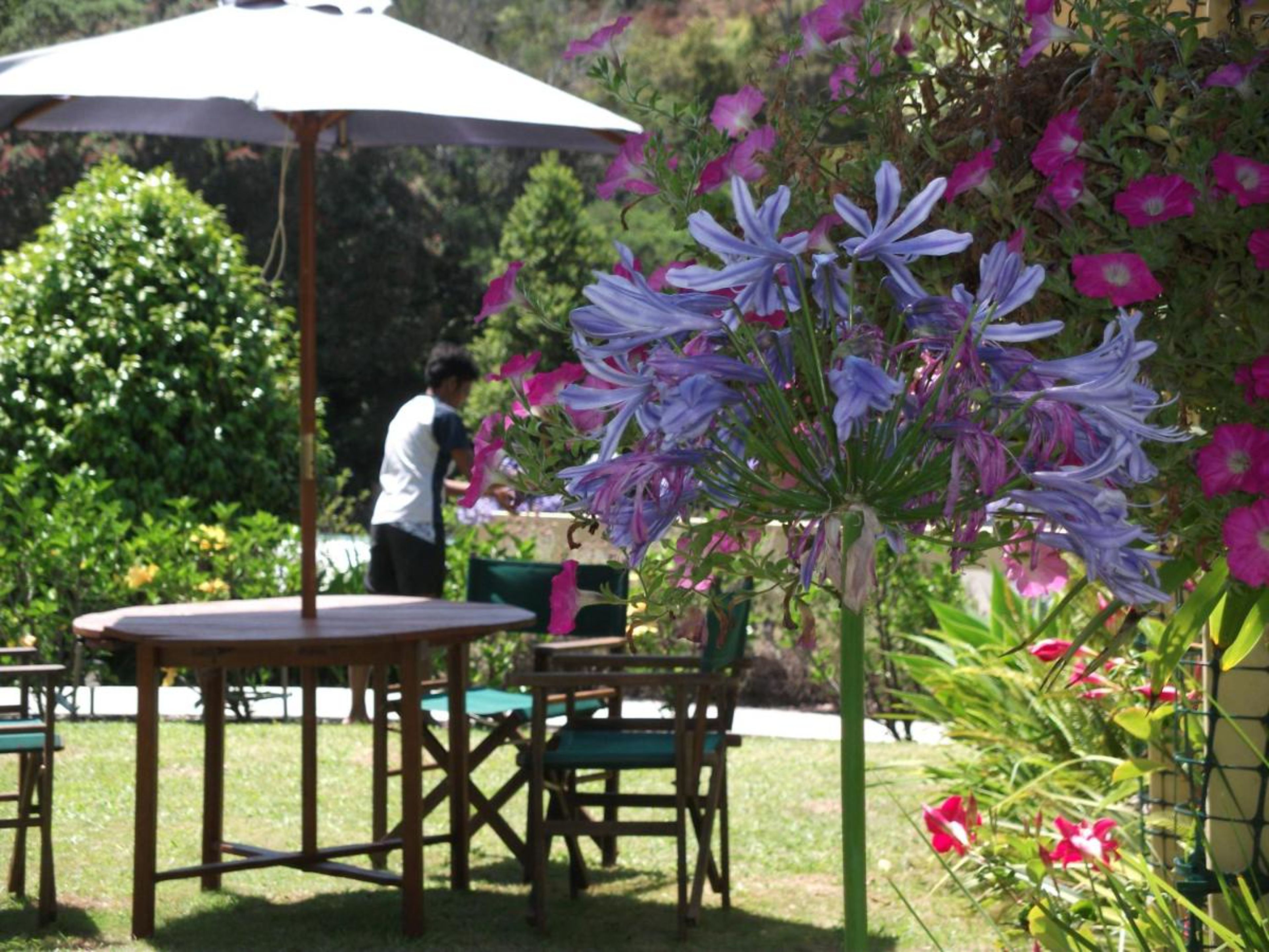 An outdoor seating area with a table and chairs under a white umbrella, surrounded by lush greenery and flowering plants.
