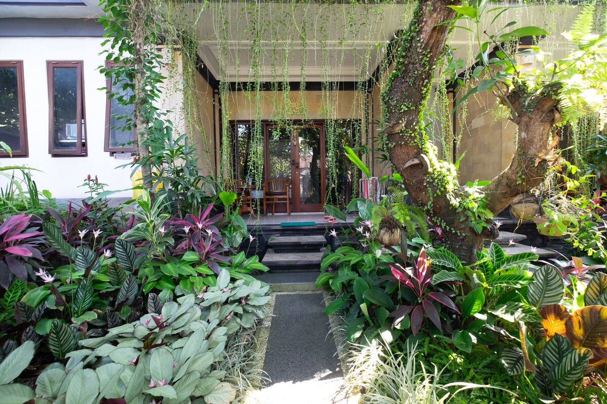 A covered outdoor area with a stone pathway leading to a seating area, surrounded by lush greenery and plants.