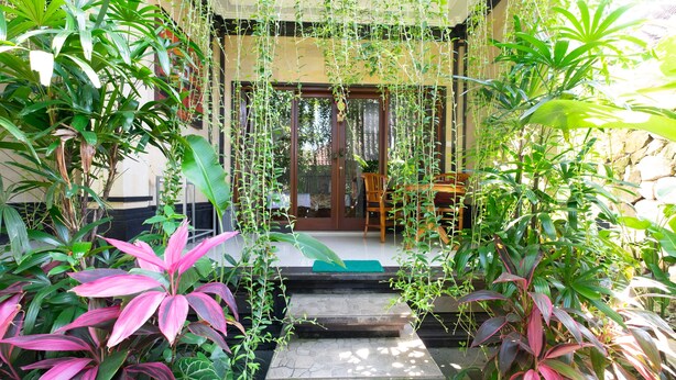 Entrada a un jardín tropical con una escalera de piedra que lleva a una puerta de madera.