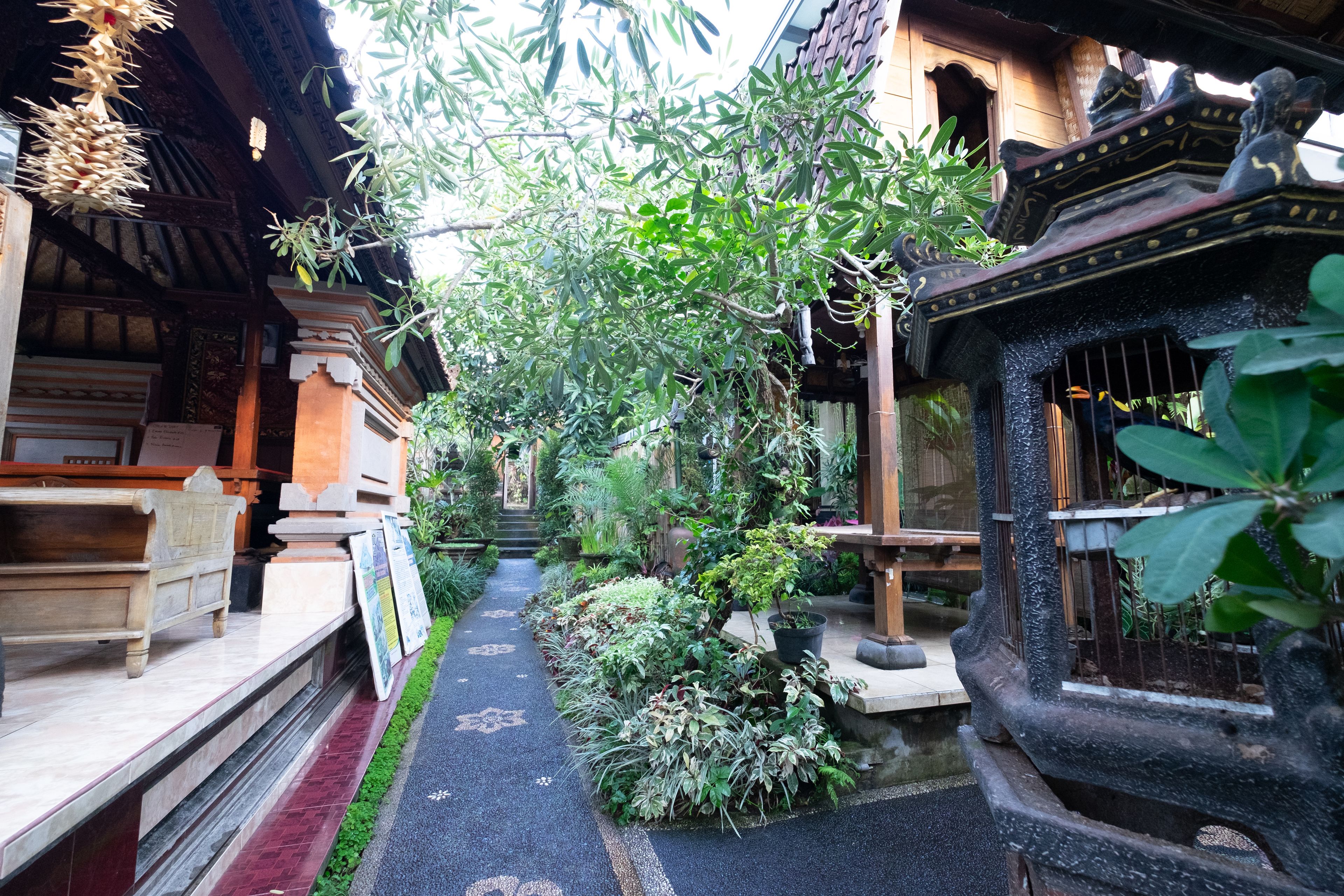 Photo - Jiwa's House